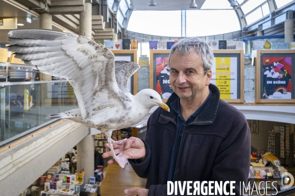 Arek, le goéland de compagnie