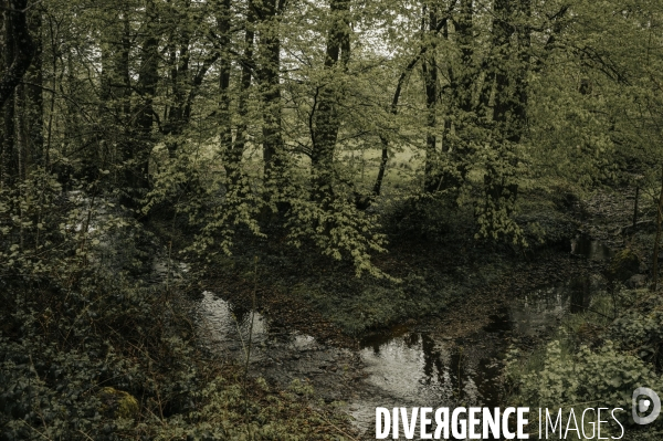 Pollution au plomb à Bourg-Fidèle