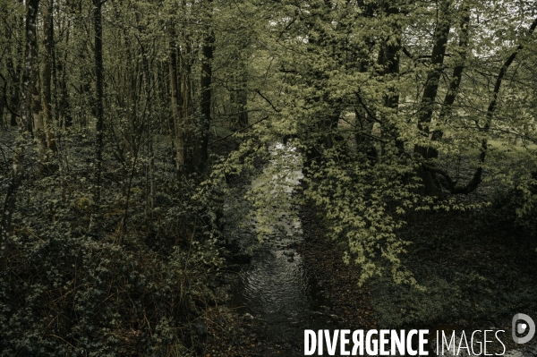 Pollution au plomb à Bourg-Fidèle