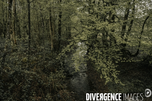 Pollution au plomb à Bourg-Fidèle