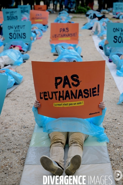 Alliance VITA manifeste contre la proposition de loi sur la fin de vie