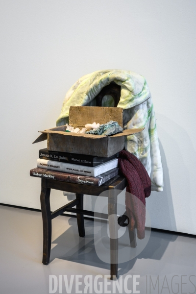 Exposition Tatiana Trouvé à Venise