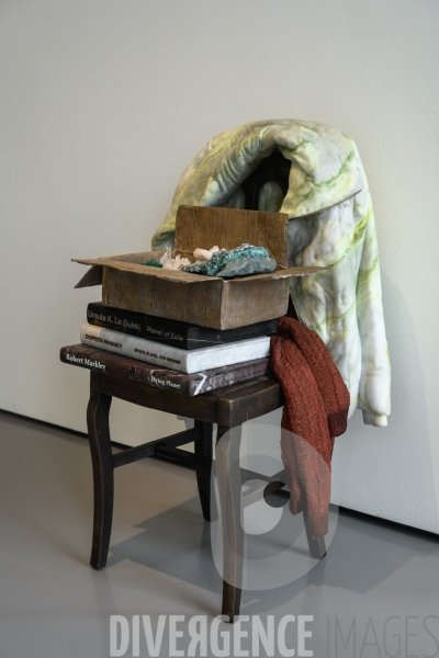 Exposition Tatiana Trouvé à Venise