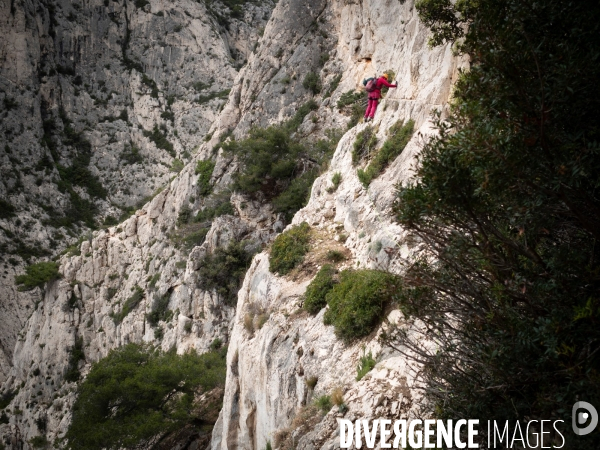 Escalade dans les calanques