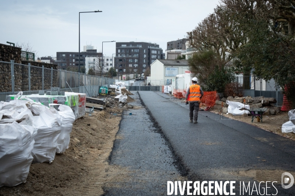 Premières plantations végétales