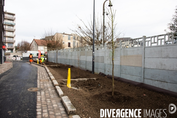 Premières plantations végétales
