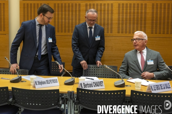 ArcelorMittal devant la commission d enquête sur les défaillances des pouvoirs publics.