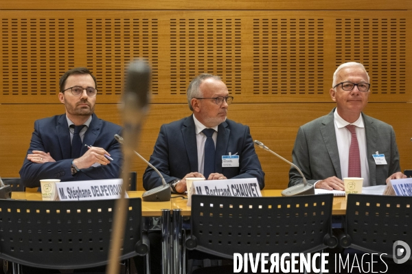 ArcelorMittal devant la commission d enquête sur les défaillances des pouvoirs publics.