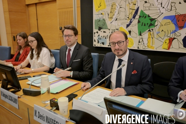 Audition d Alain Le Grix de la Salle, président d’ArcelorMittal France