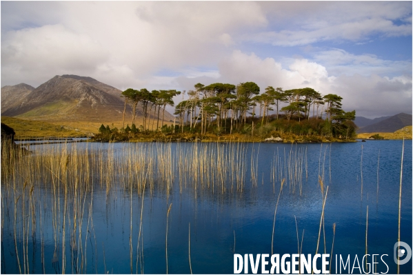 IRLANDE : Paysage du Parc national du CONNEMARA