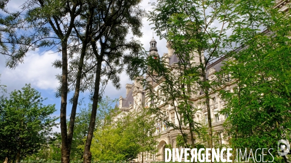 La foret urbaine du parvis de l hôtel de ville