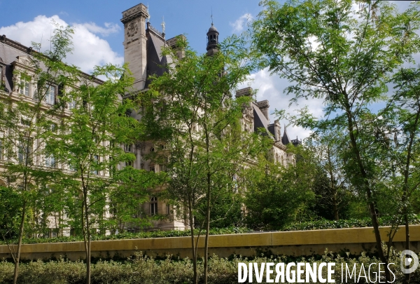 La foret urbaine du parvis de l hôtel de ville