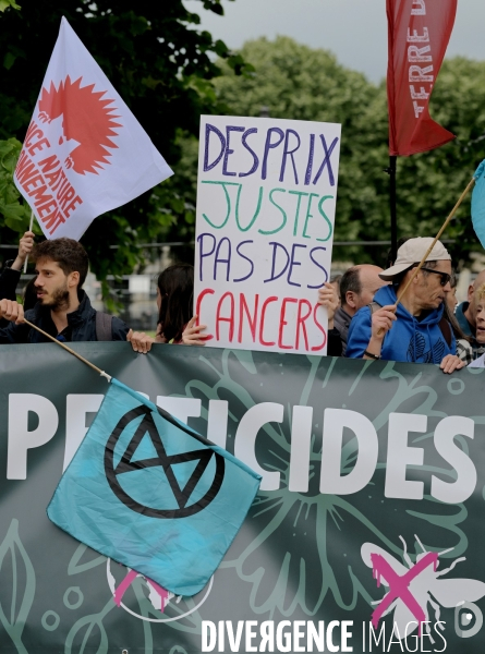 Rassemblement contre la loi duplomb