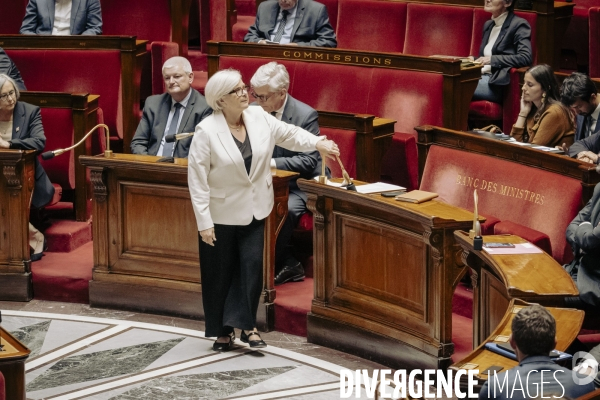 Questions au gouvernement à l’assemblee nationale.