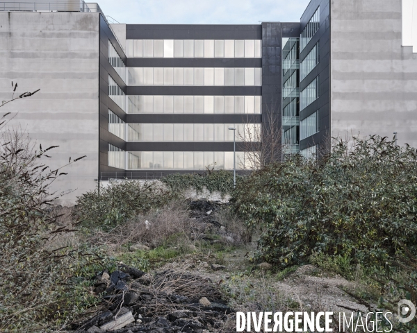 Friche urbaine  Rue Flora Tristan  Saint-Denis