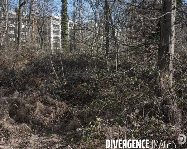 Friche avenue Ampère Noisy le Grand