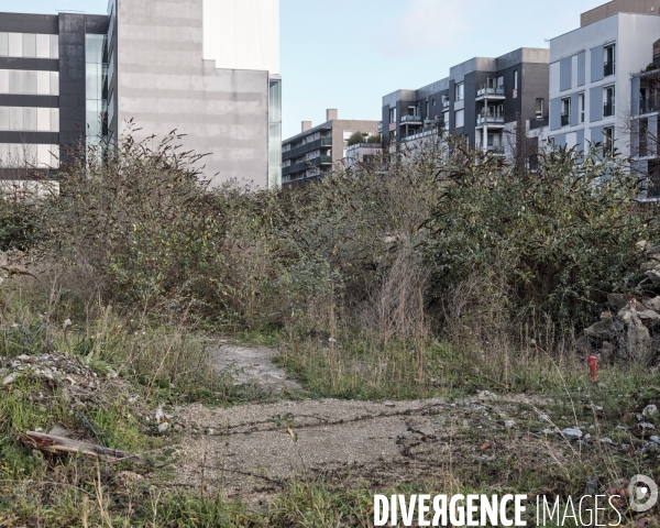 Friche urbaine  Rue Flora Tristan  Saint-Denis