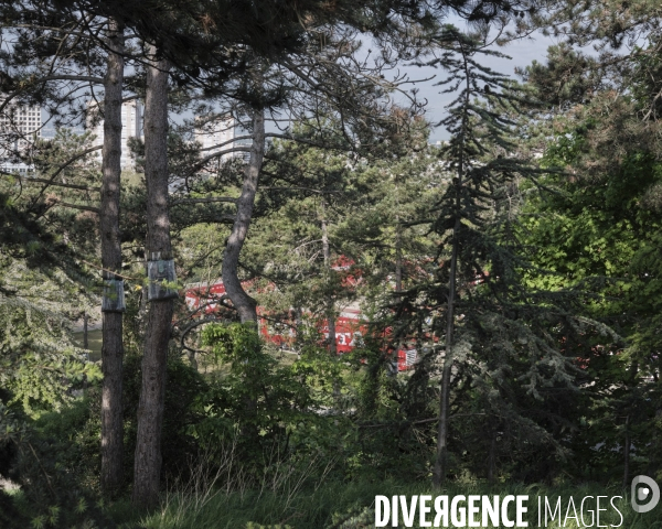 Nanterre, parc André Malraux