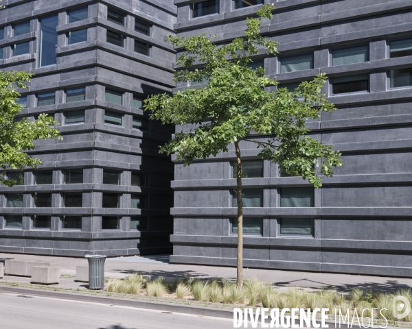 CentraleSupélec - Campus Paris-Saclay, Rue Joliot-Curie, Gif-sur-Yvette