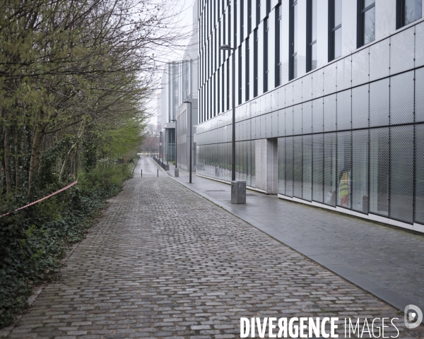 La “forêt urbaine” rue Chana Orloff, Quartier Rosa Parks, Paris