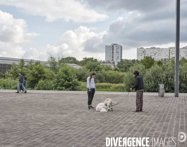 ZAC des Docks, Grand parc des Docks, Saint-Ouen