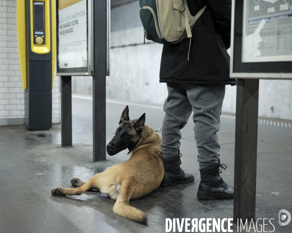 Vigile et son chien, quai du RER C à la station Saint-Ouen