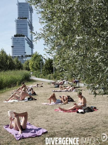 Bain de soleil parc Martin Luther King, ZAC Clichy-Batignolles, Paris 17e