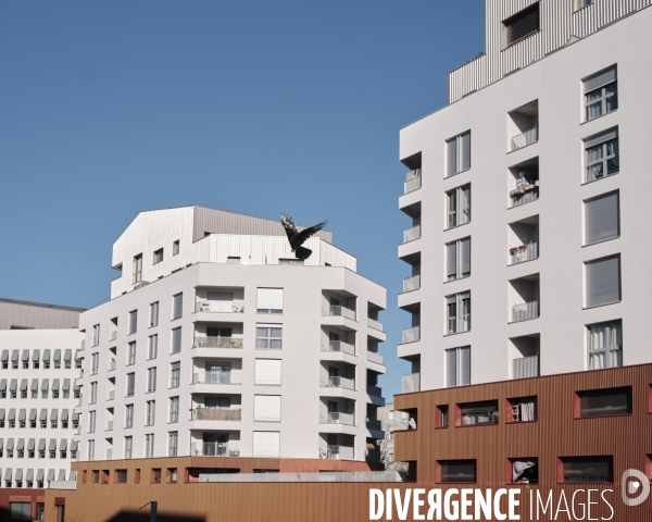Résidence Bd Archimède Noisy le Grand