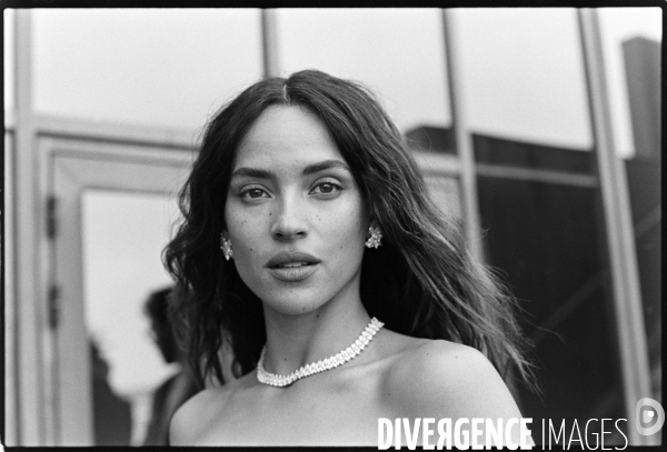 Festival de cannes 2025