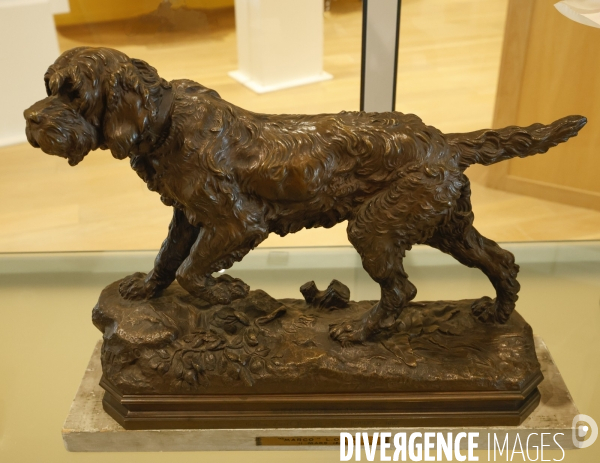 Premier musee du chien en france