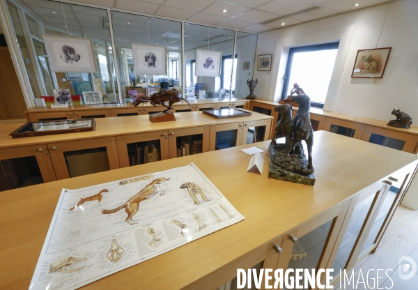 Premier musee du chien en france