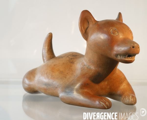 Premier musee du chien en france