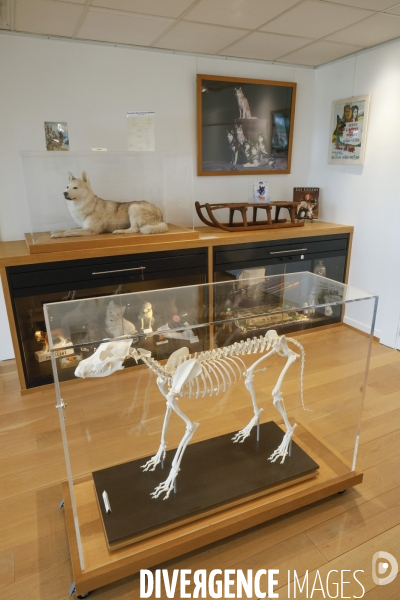 Premier musee du chien en france