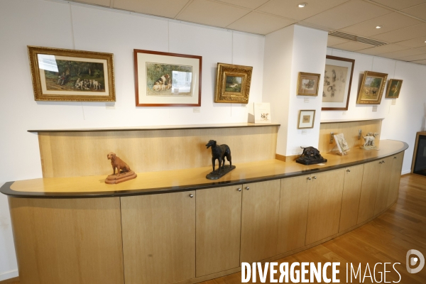 Premier musee du chien en france