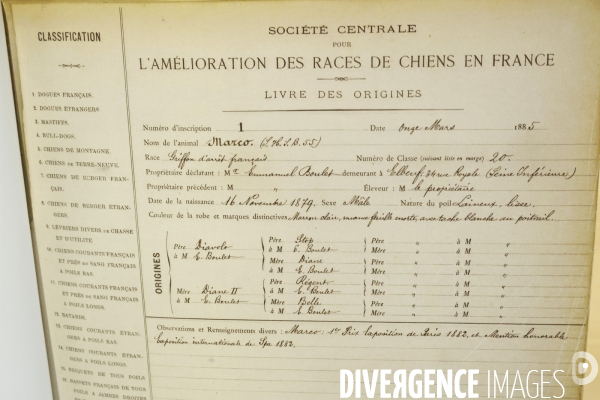 Premier musee du chien en france