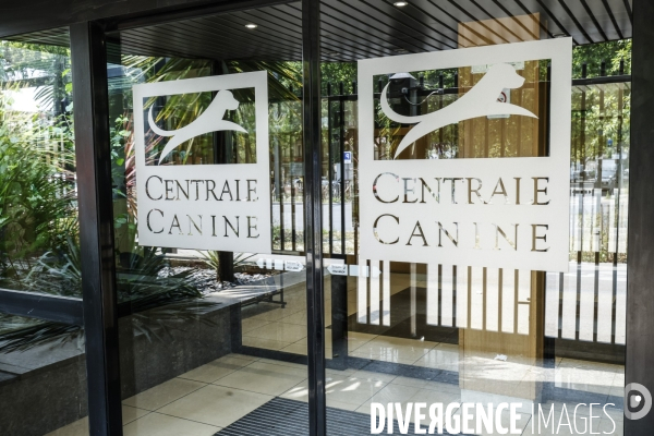 Premier musee du chien en france