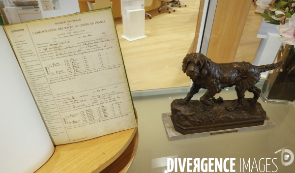 Premier musee du chien en france