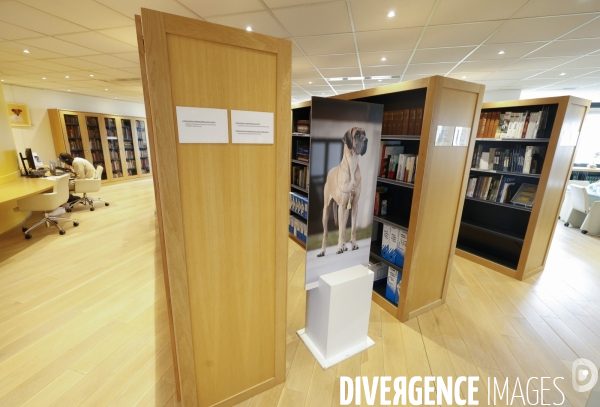 Premier musee du chien en france