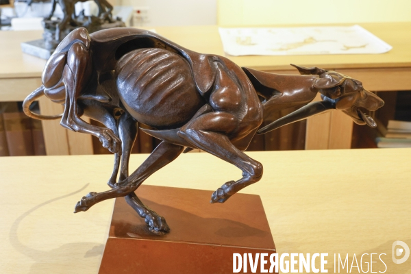 Premier musee du chien en france