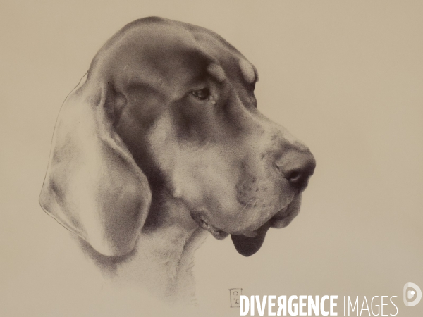 Premier musee du chien en france