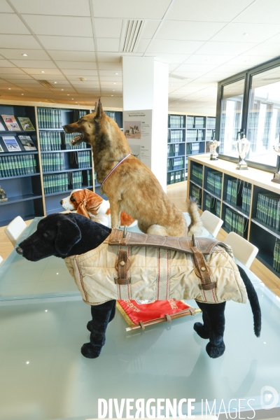 Premier musee du chien en france