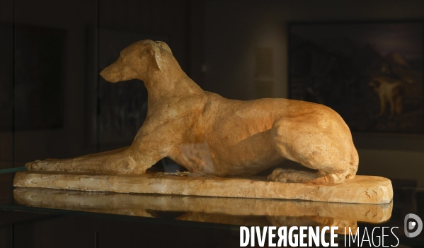 Premier musee du chien en france