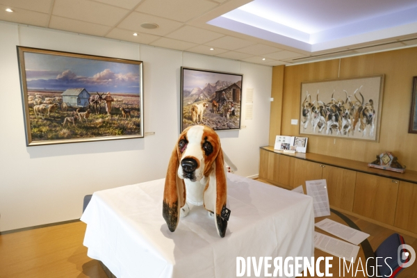 Premier musee du chien en france