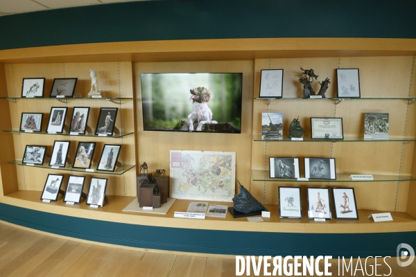 Premier musee du chien en france