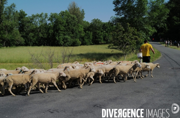 La fete du paturage de Crégols