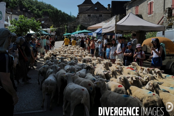La fete du paturage de Crégols