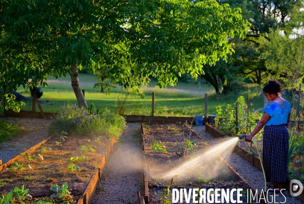 Potager dans le lot