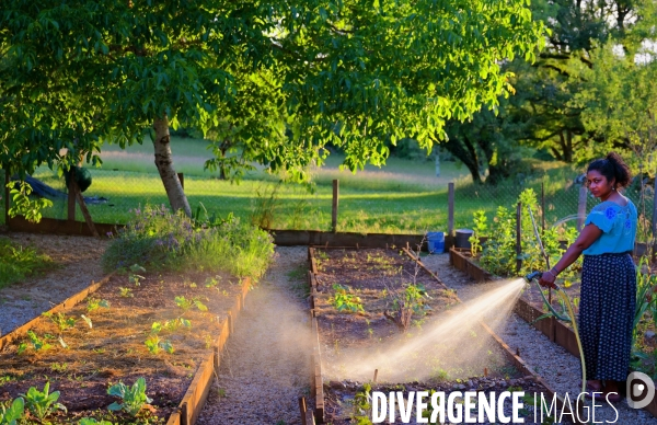 Potager dans le lot
