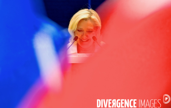 Extreme droite / Meeting de la fête de la victoire