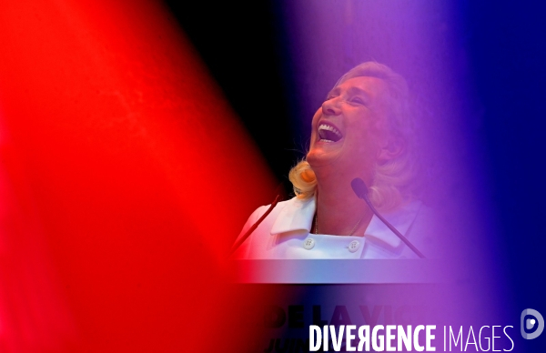 Extreme droite / Meeting de la fête de la victoire
